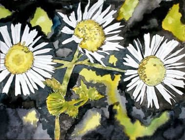 heath aster flowers
Watercolor painting  limited edition poster print modern realistic art see full details at my online art gallery and order art at http://www.derekmccrea.50megs.com
Keywords: Watercolor painting flower flowers cityscape limited edition poster print modern realistic art