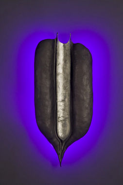 LIFE FORCE-V
NEON STEEL; 19" X 12" X 4"
WALL MOUNTED SCULPTURE WITH NEON BACK LIGHTING
Keywords: NEON  NEON-SCULPTURE  SCULPTURE  NEON-ART  NEON