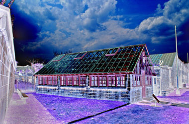 Prison Greenhouse
digitally enhanced greenhouse at historic Philly prison

